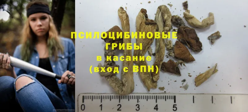 купить  цена  Новосибирск  Галлюциногенные грибы MAGIC MUSHROOMS 